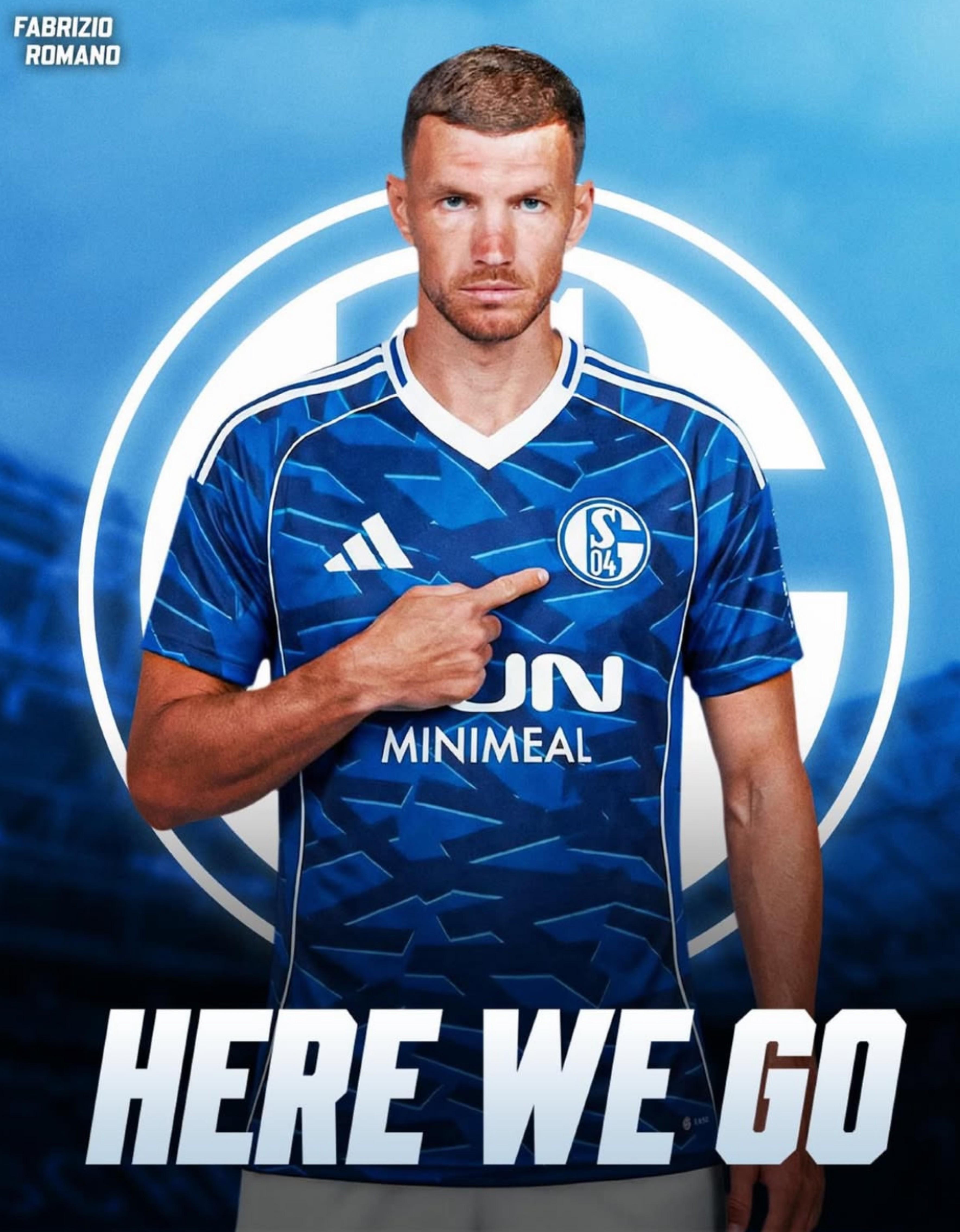 九游下载-Here we go！罗马诺：沙尔克就签下39岁前锋哲科达成协议